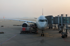 PXL_20230328_215620839