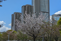 PXL_20230408_050522598