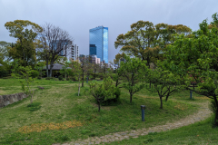PXL_20230408_050916393