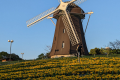 PXL_20230408_084804602