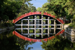 DSCF0976