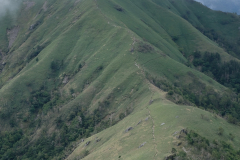 DSCF1047