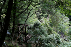 DSCF1058