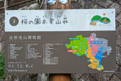 PXL_20230918_051218309