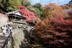 DSCF1170_blog