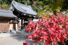 DSCF1180_blog