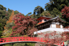 DSCF1185_blog