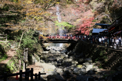 DSCF1187_blog