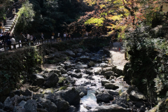 DSCF1189_blog