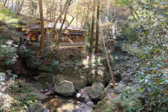 DSCF1193_blog
