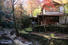 DSCF1205_blog