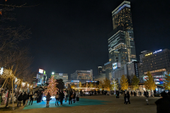 PXL_20231206_112205370