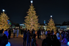 PXL_20231206_112348590