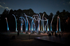 PXL_20231105_094452569
