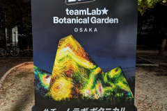 PXL_20231105_100548402